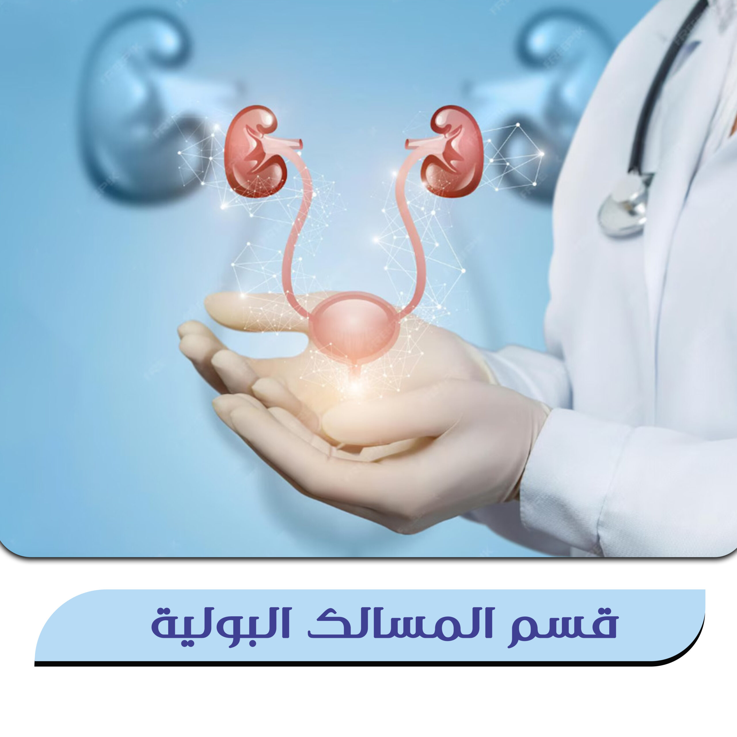 قسم المسالك البولية